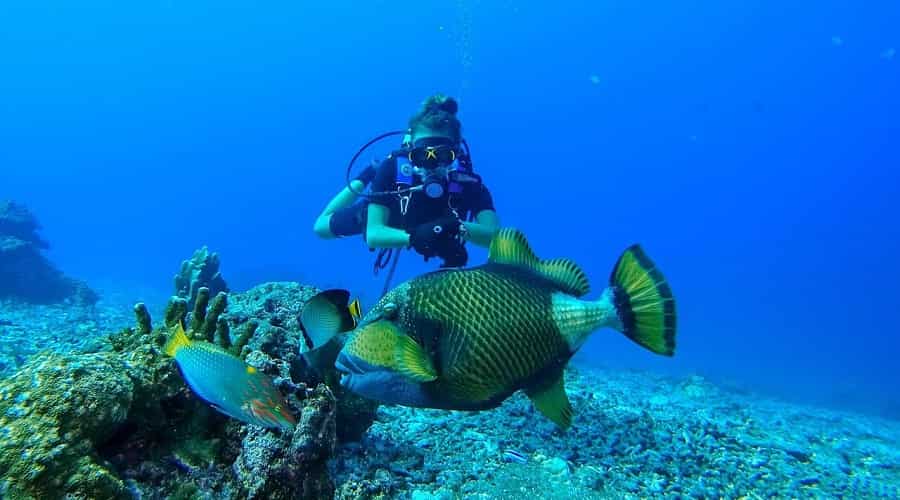 Pattaya Scuba Diving