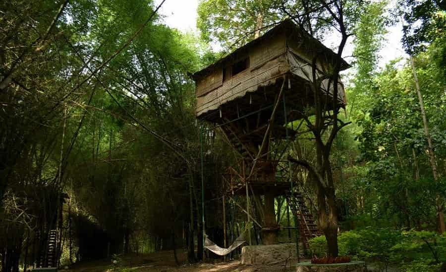 Safari land tree house resort, Masinagudi