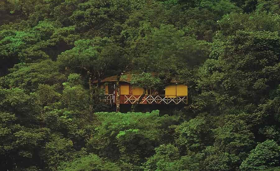 Vythiri Resort, Wayanad