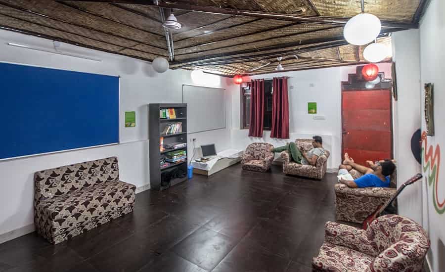 Backpacker Panda, Delhi