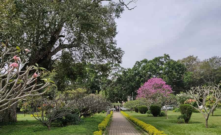 Cubbon Park, Bangalore