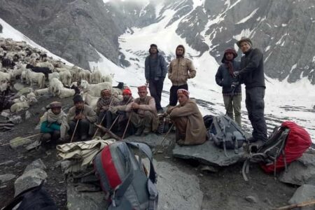 Gaddi Tribes