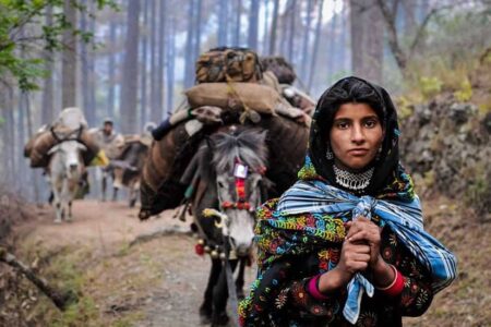 Gujjar Tribes