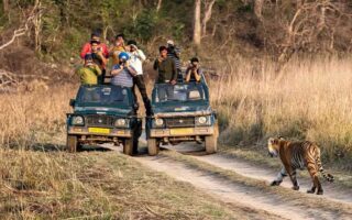 Jim Corbett National Park, Uttarakhand