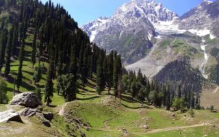 Sonmarg - Meadow of Gold