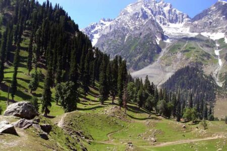 Sonmarg - Meadow of Gold