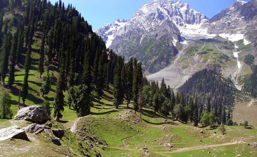 Sonmarg - Meadow of Gold
