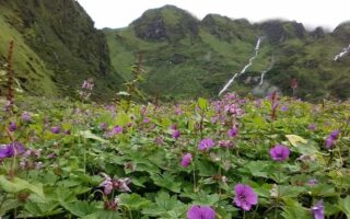 Sunderdhunga Glacier Trek