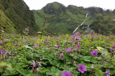 Sunderdhunga Glacier Trek