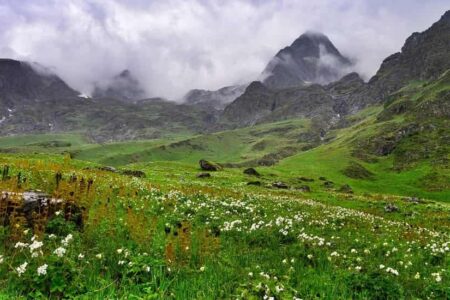 Valley of Flowers, Uttarakhand