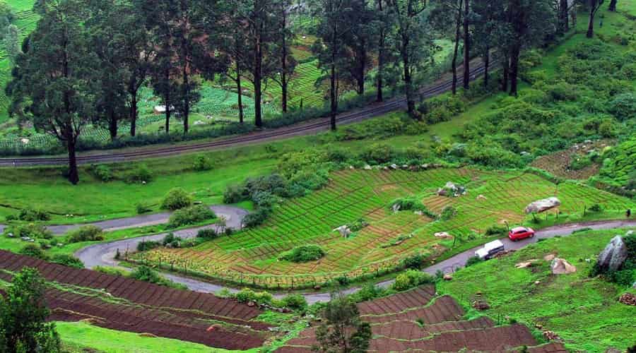 Beauty of Ooty