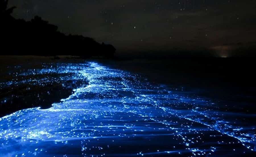 Blue Glowing Beach