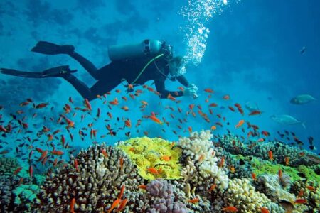 Diving in Lakshadweep