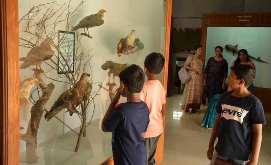 Government Museum, Pudukkottai