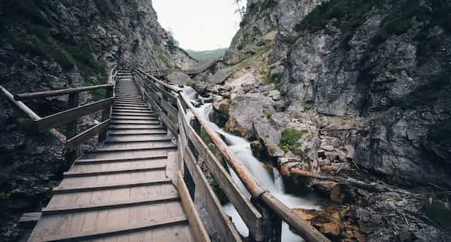 Hiking for Beginners The Trail