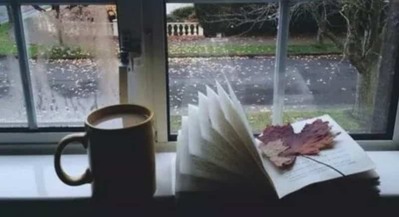 Pick up a book and get some reading done