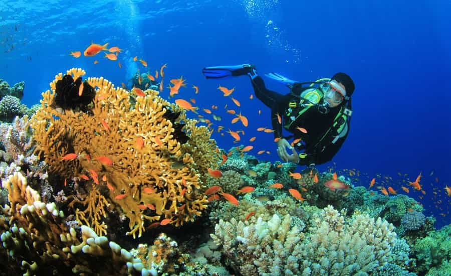 Best Places For Scuba Diving In India