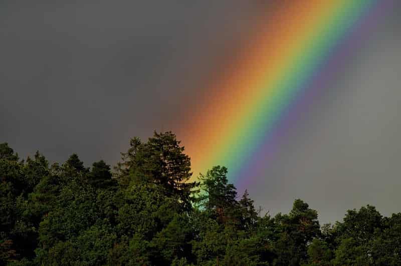 Spot a rainbow