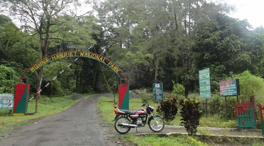 Trek to Mount Harriet