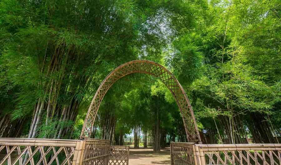 Bamboo Craft in KatlamaraBamboo Craft in Katlamara