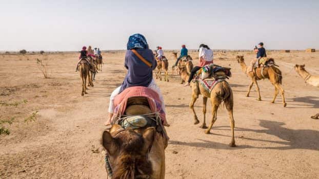 Camel Ride in Rajasthan