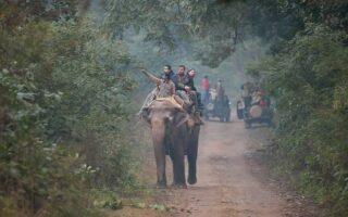 Elephant Ride in Corbett