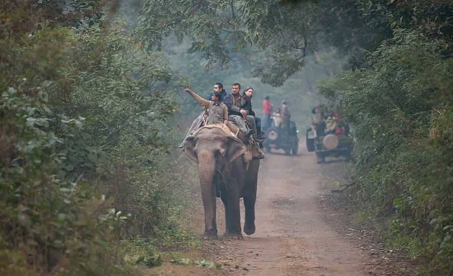 Elephant Ride in Corbett