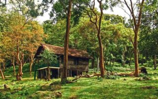 K Gudi Wilderness Cam