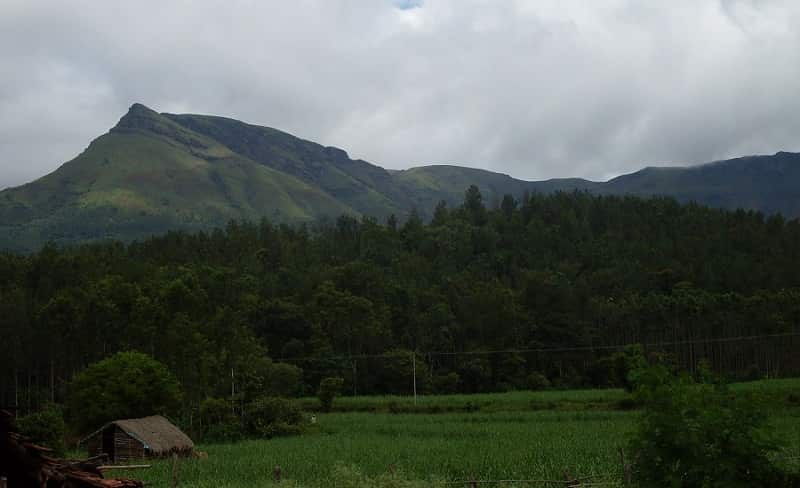 Kemmanagundi Peak