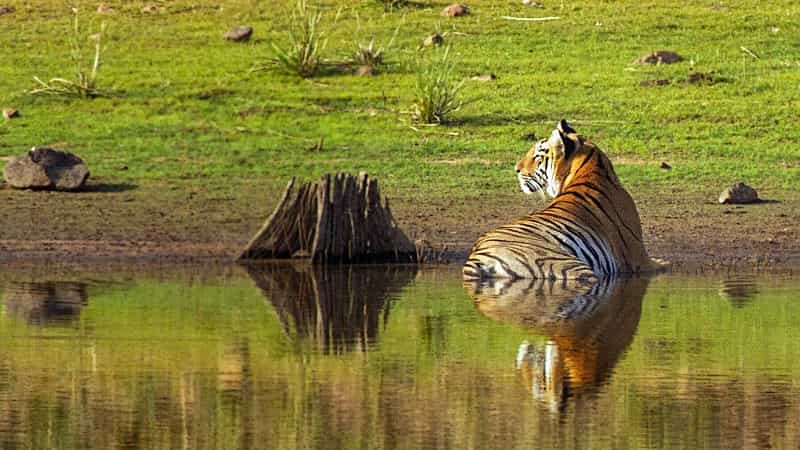 Saza Wildlife Sanctuary