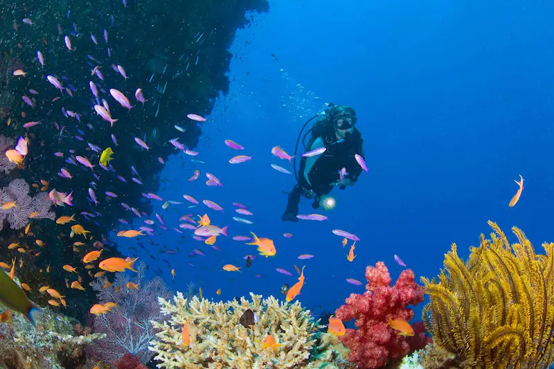 Scuba Diving, Singapore