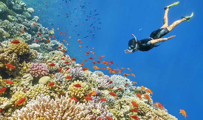 Snorkeling in Singapore