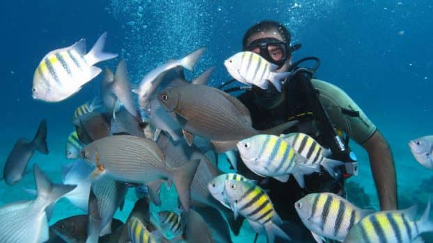 Swimming with Sharks in Galapagos, Ecuador