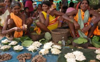 Tribal Villages of Orissa