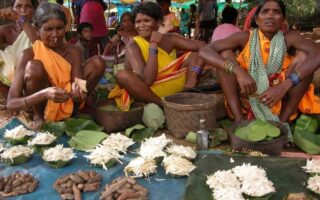 Tribal Villages of Orissa