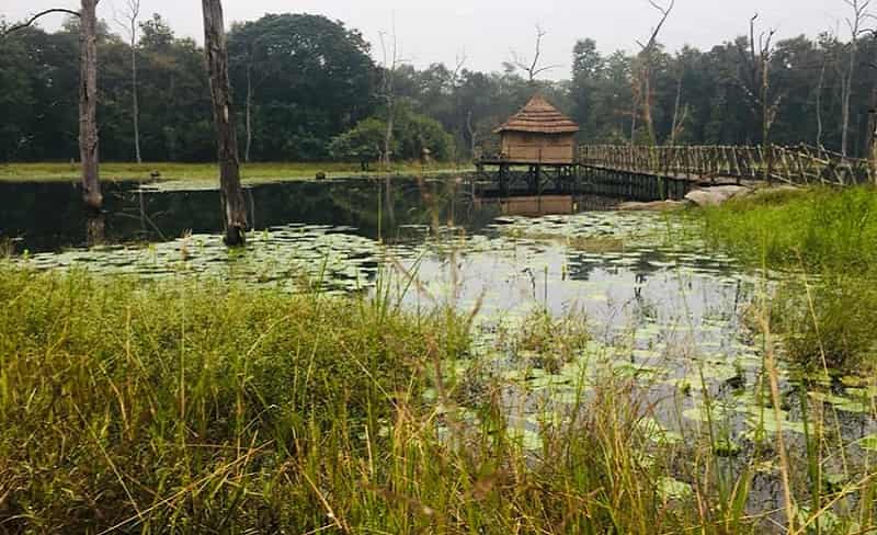 Kawal Wildlife Sanctuary