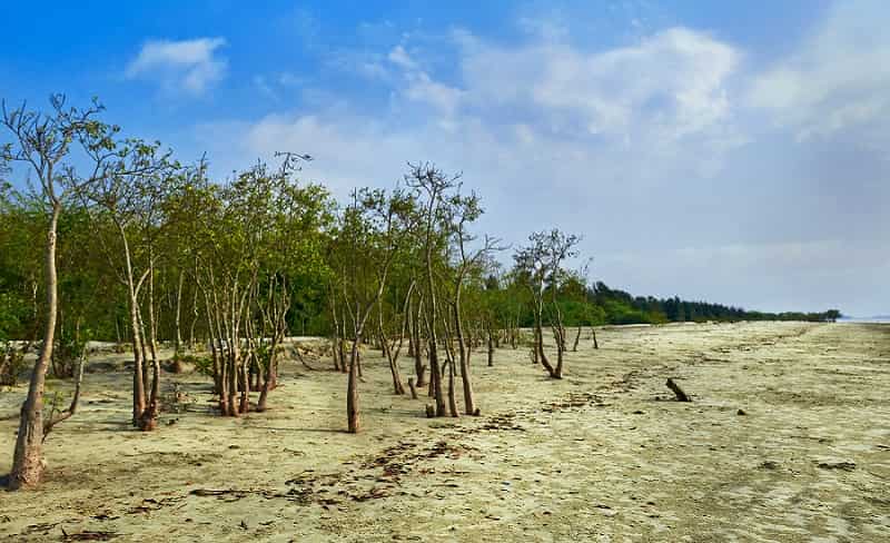 Bakkhali, West Bengal