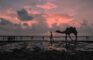 10 Best Weekend Getaways From Surat 