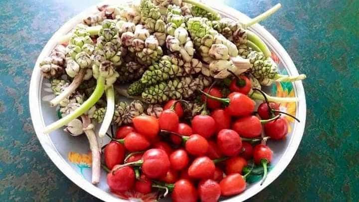 Lotha Tribe’s Organic Fruits
