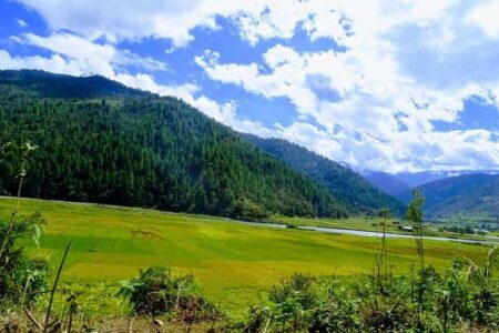 Sangti Valley, Dirang, Arunachal Pradesh