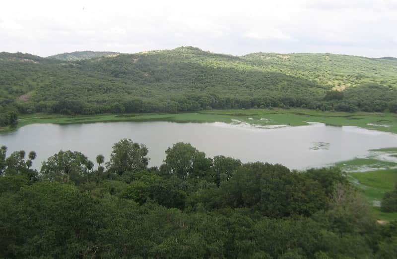 Surwal Lake in Sawai Madhopur