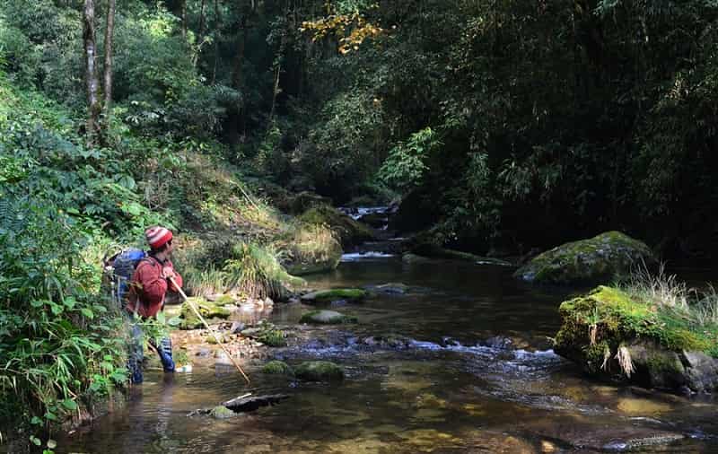 Hike A Jungle In Talle Valley