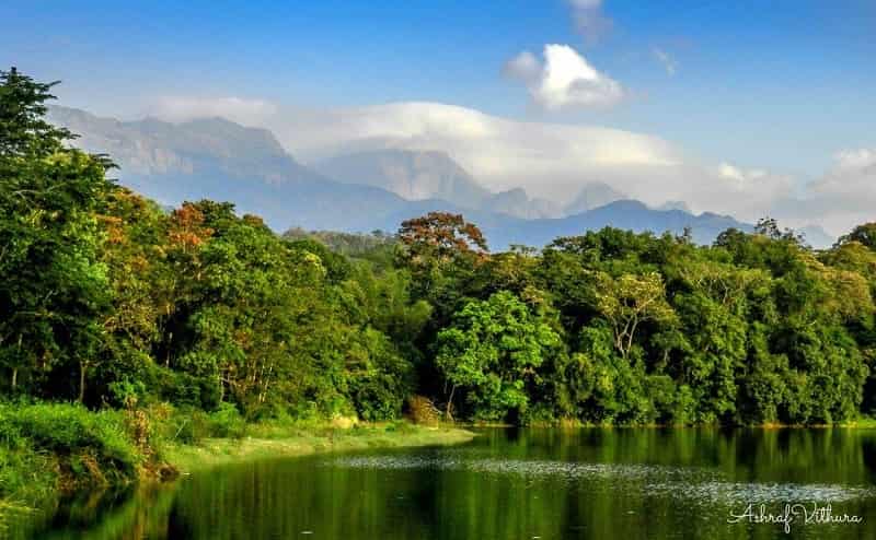 Peppara Wildlife Sanctuary