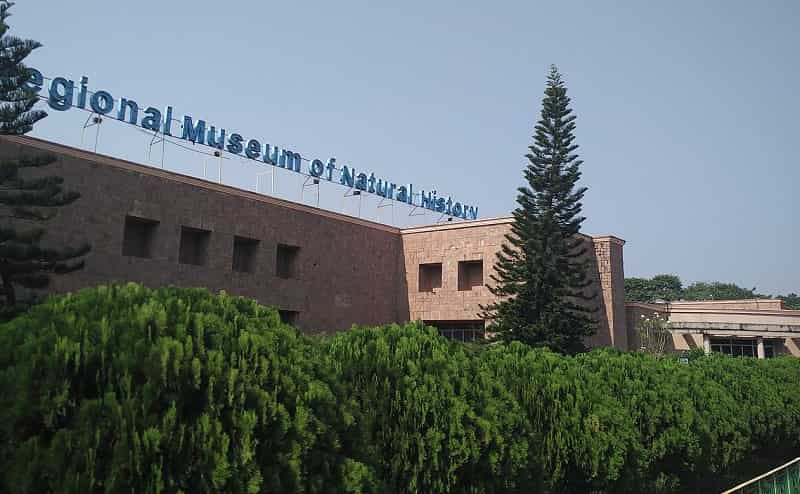 Regional Museum of Natural History, Mysore