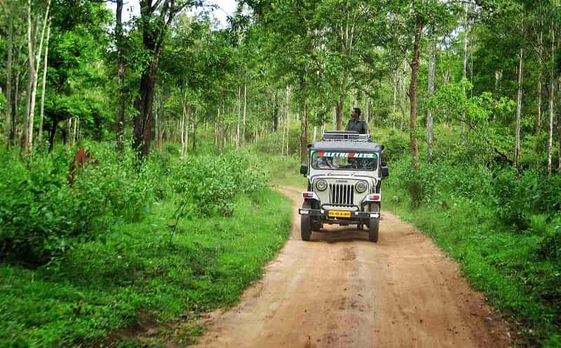 Wayanad Wildlife Sanctuary