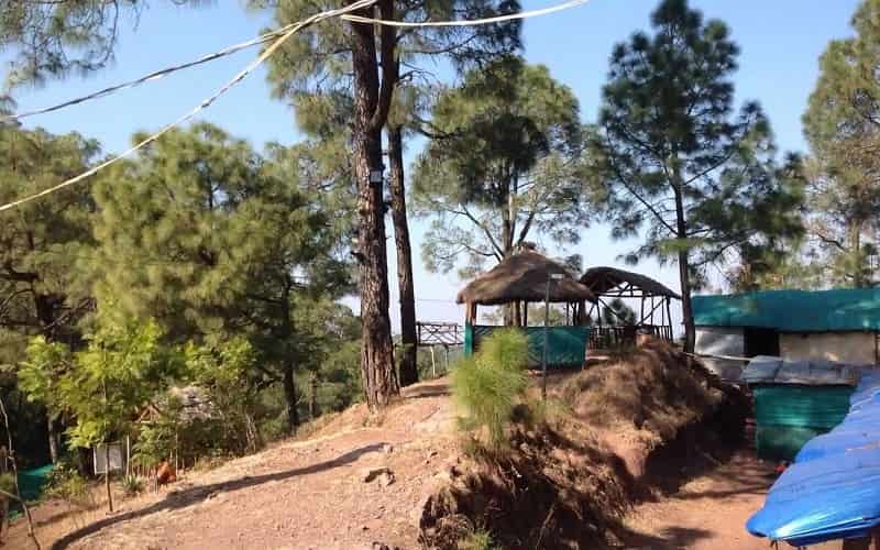 Sanawar Nature Camp, Kasauli, Solan