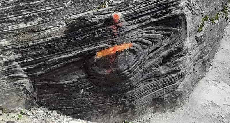 Seshnetra, Badrinath