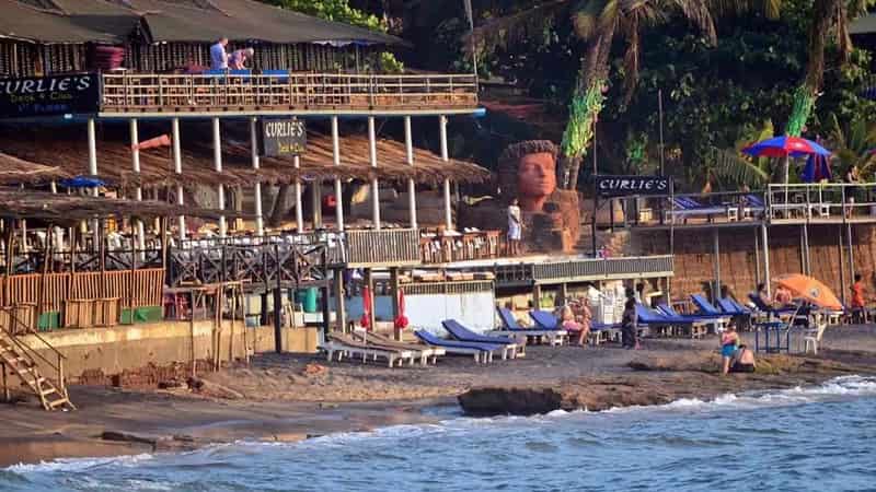 Curlies, Goa