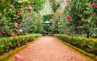 Empress Garden, Pune