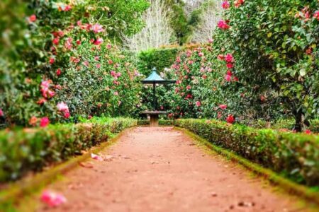 Empress Garden, Pune